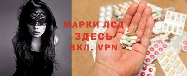 прущие крисы Новозыбков
