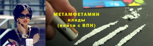 прущие крисы Новозыбков