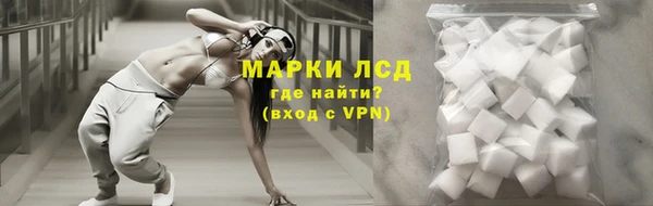 прущие крисы Новозыбков