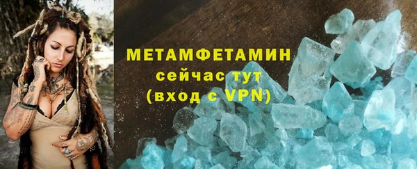 прущие крисы Новозыбков