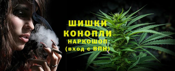 прущие крисы Новозыбков