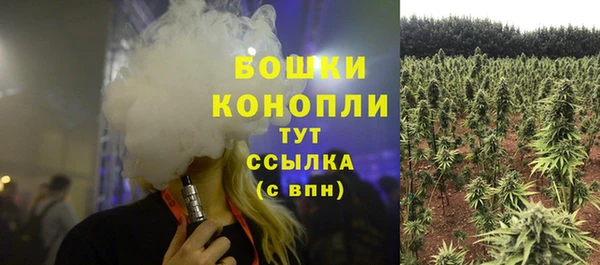 тгк Няндома