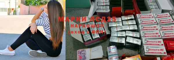 прущие крисы Новозыбков
