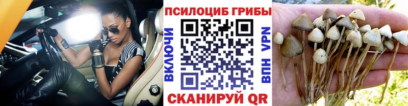 Галлюциногенные грибы GOLDEN TEACHER Тайга