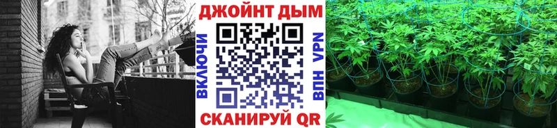 купить наркотик  Тайга  Бошки марихуана сатива 